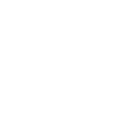 X (Twitter)